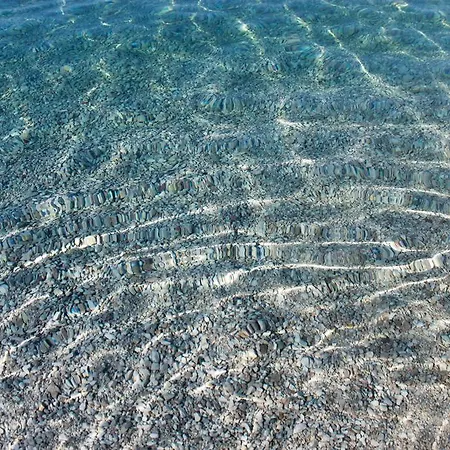 Antisa 巴什卡沃达