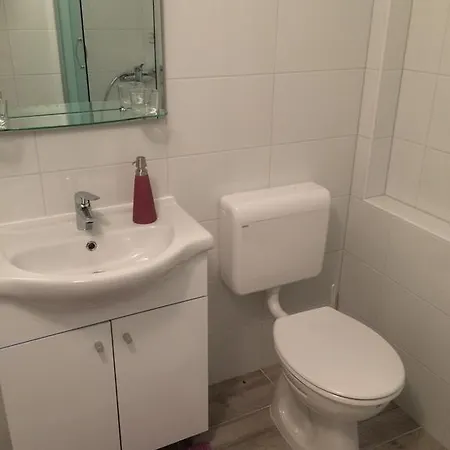 Antisa 巴什卡沃达